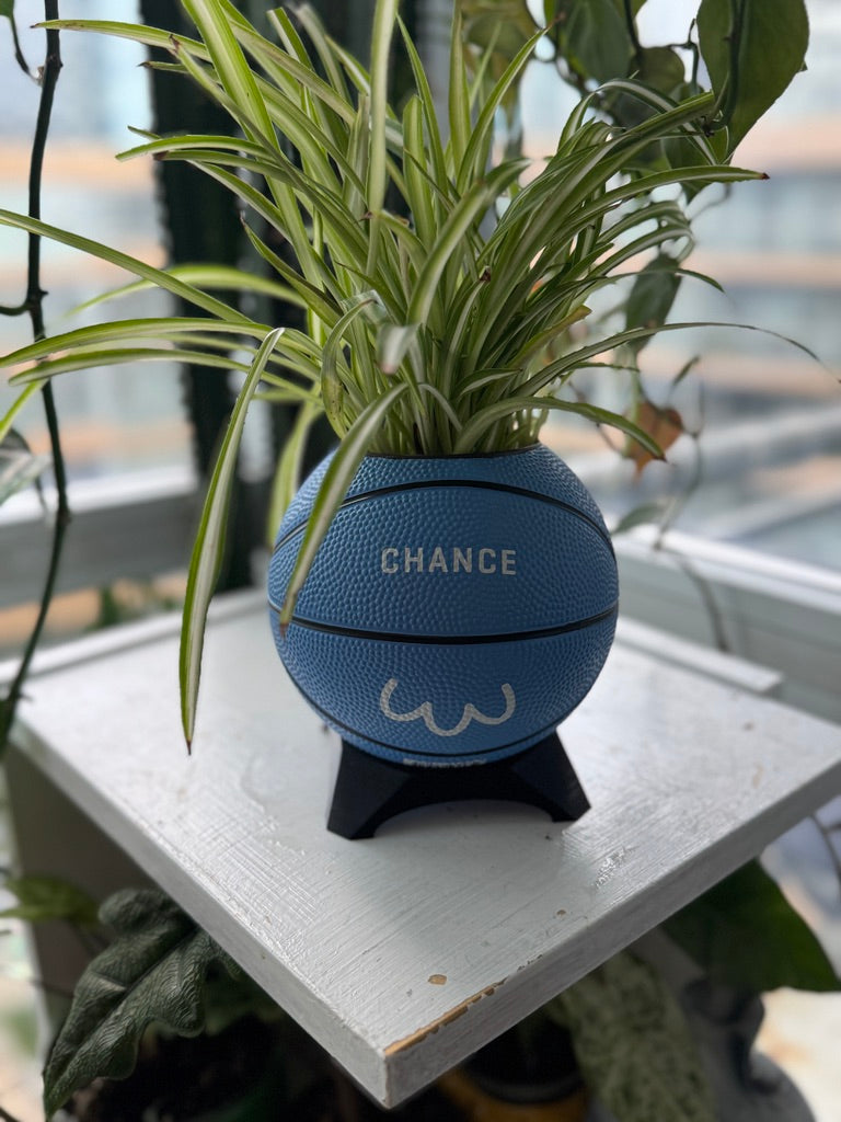 Ultra-Mini Basketball Planter (Penguin)