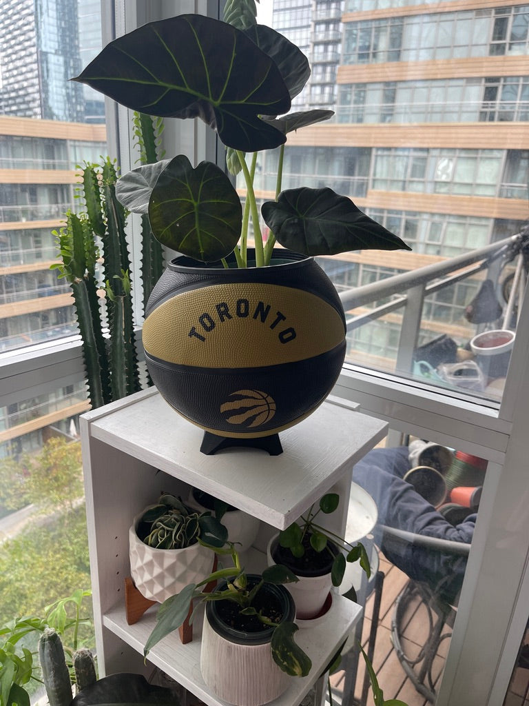 Large Basketball Planter (Toronto Raptors Gold)