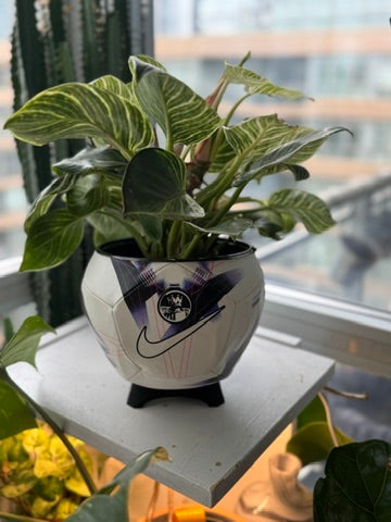 Nike Large Soccer Ball Planter (Premier League Pitch)