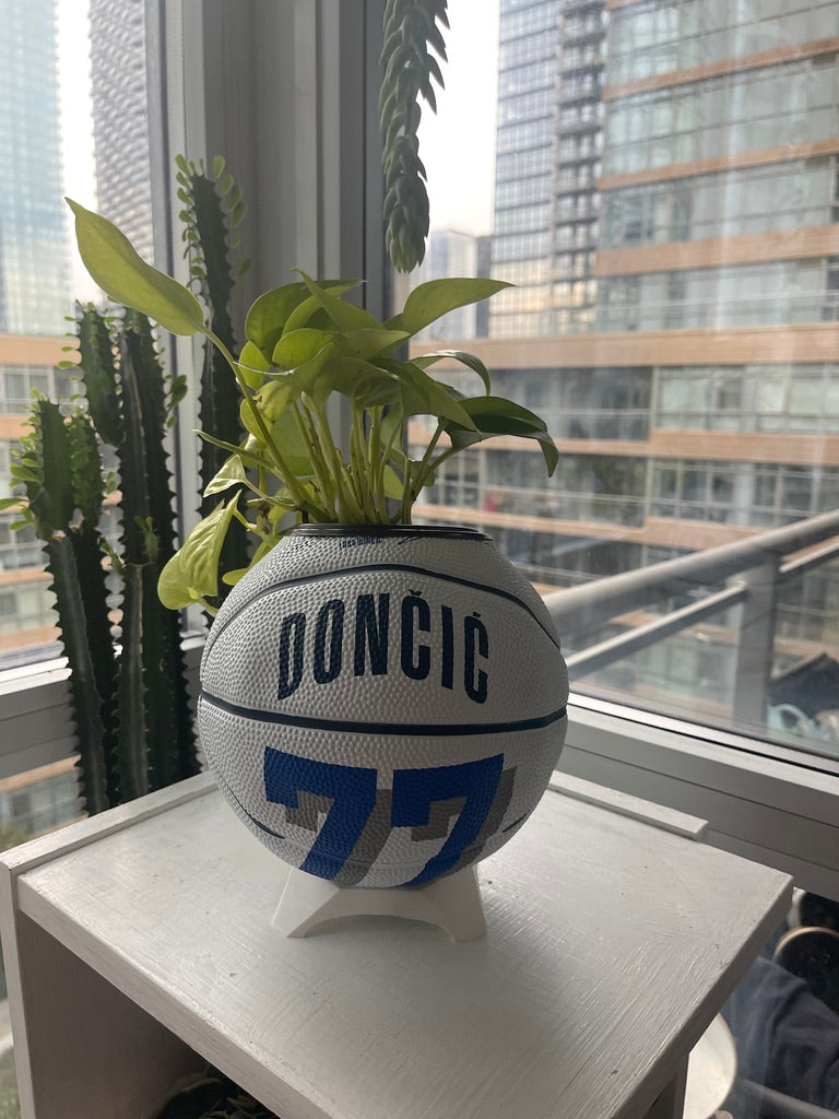Mini Basketball Planter (Luka Doncic)
