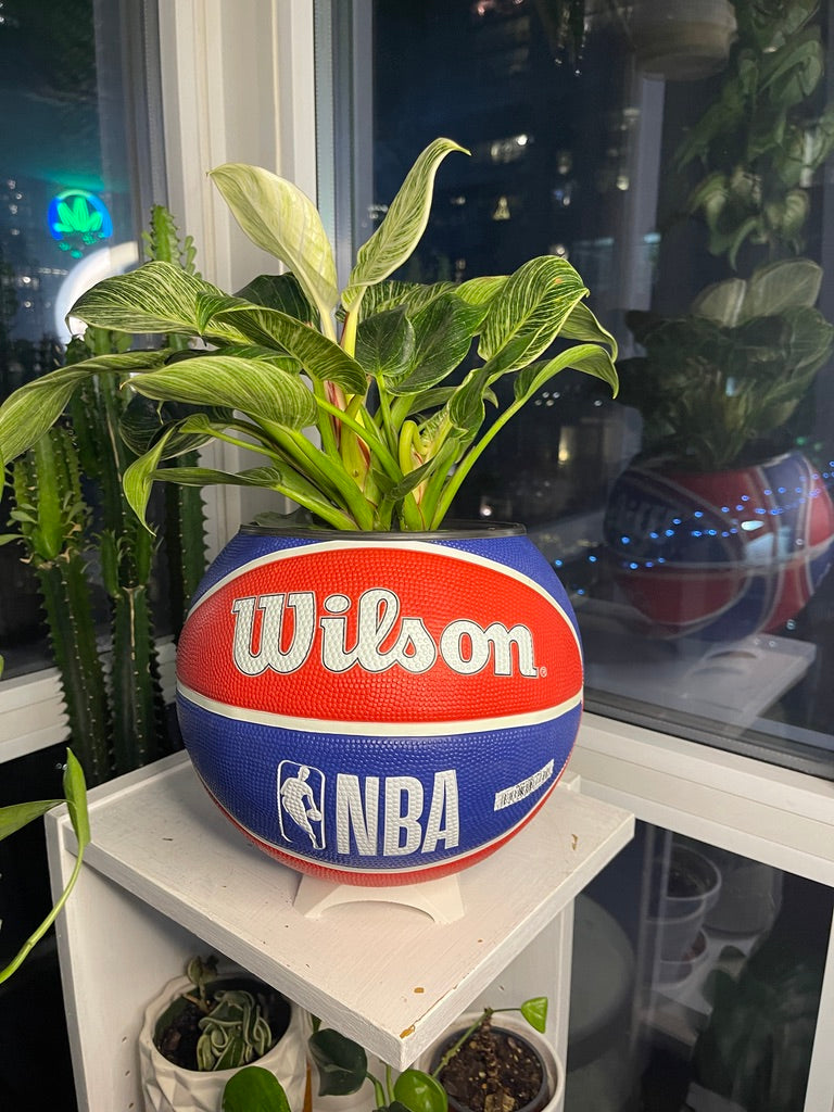 Large Basketball Planter (Los Angeles Clippers)