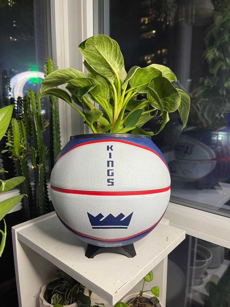 Large Basketball Planter (Sacramento Kings)