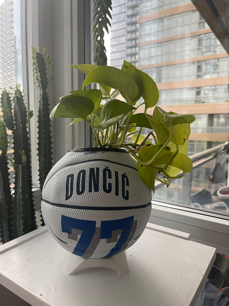 Mini Basketball Planter (Luka Doncic)