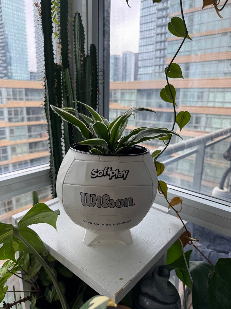 Large Volleyball Planter (Original)