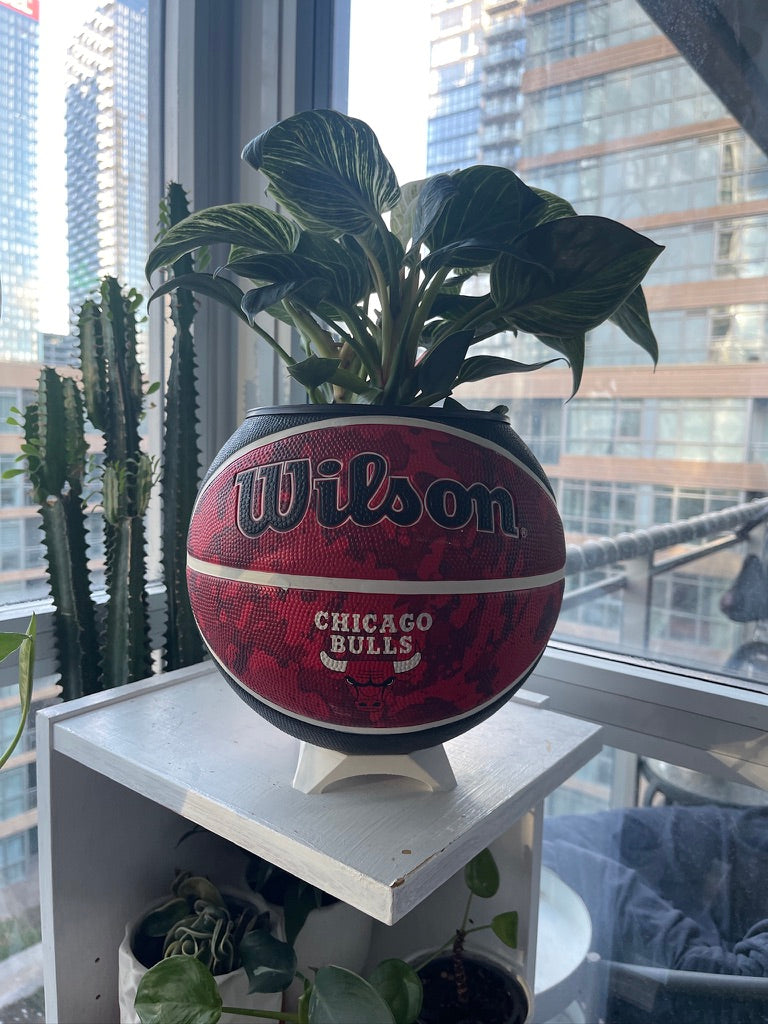 Large Basketball Planter (Chicago Bulls - Tie Dye)
