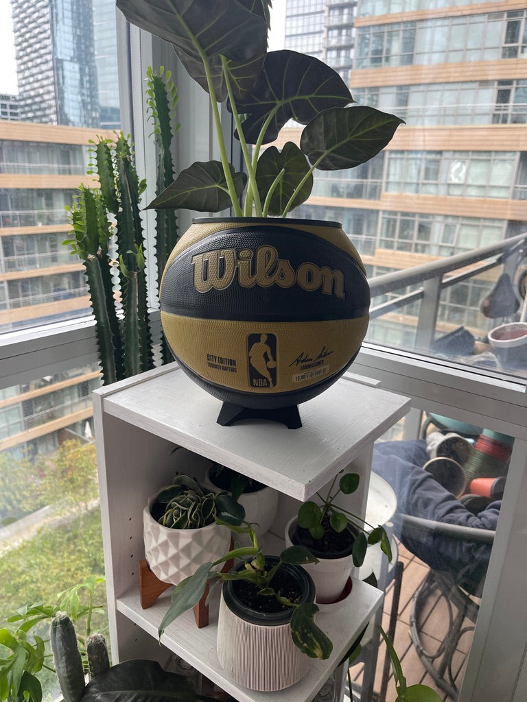 Large Basketball Planter (Toronto Raptors Gold)