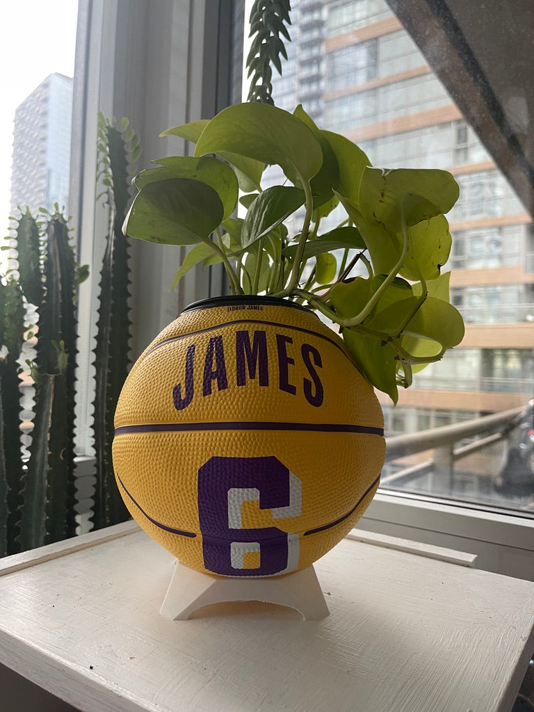 Mini Basketball Planter (Lebron James)