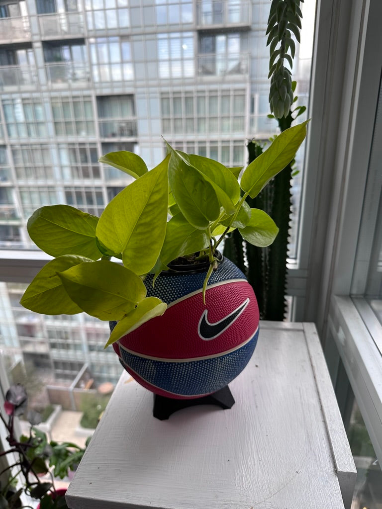 Nike Mini Basketball Planter (Game Royal Silver)