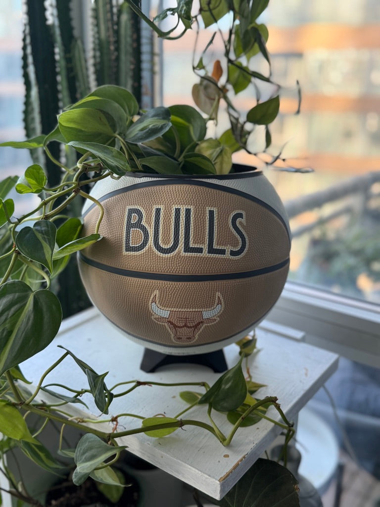 Large Basketball Planter (Chicago Bulls - Neutral)