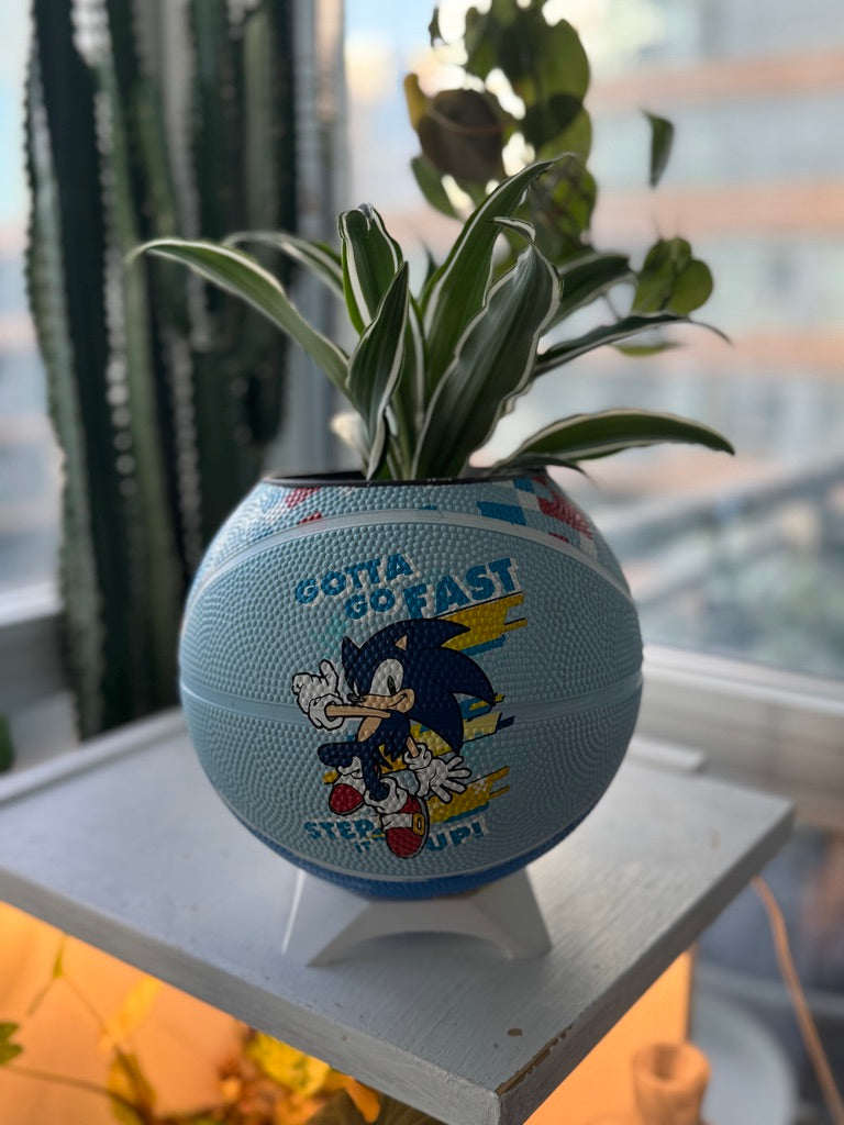 Mini Basketball Planter (Sonic the Hedgehog)