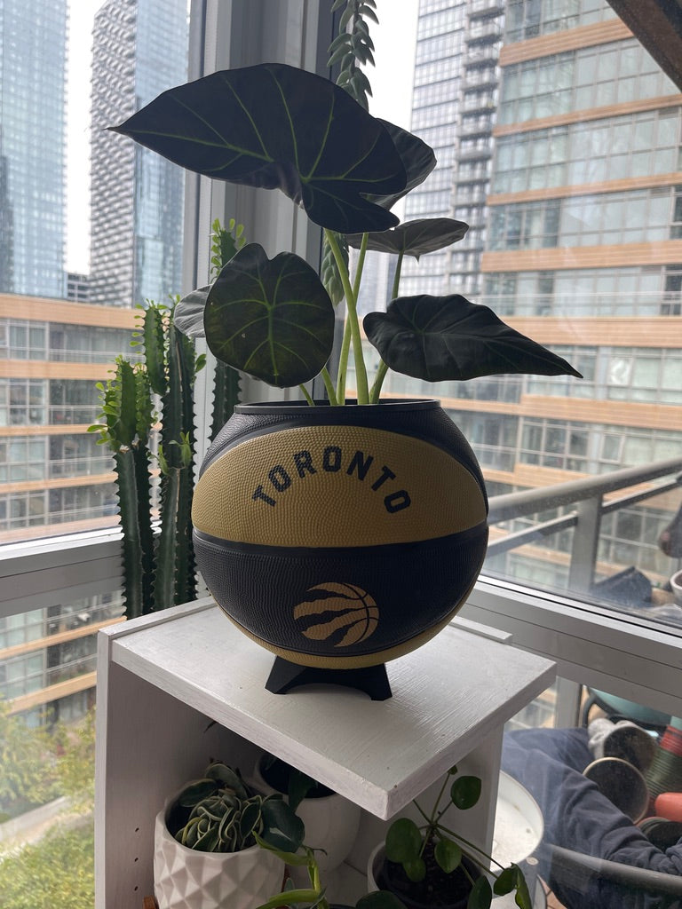 Large Basketball Planter (Toronto Raptors Gold)