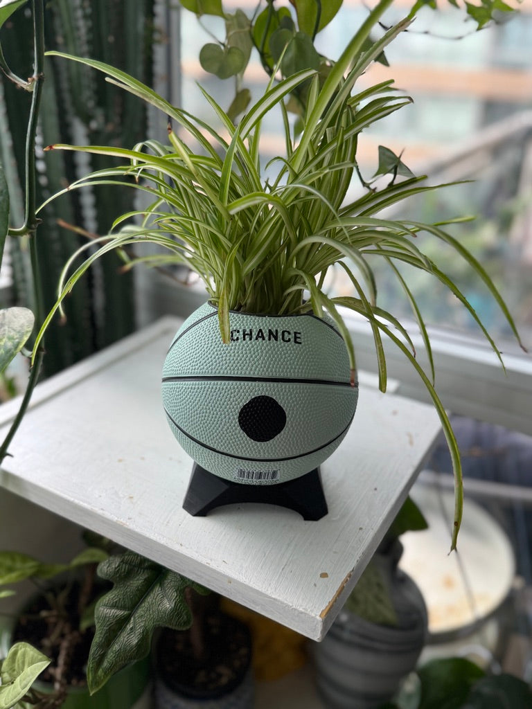 Ultra-Mini Basketball Planter (Mouse)