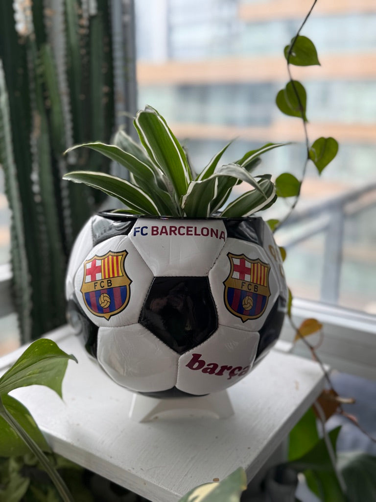 Large Soccer Ball Planter (FC Barcelona)