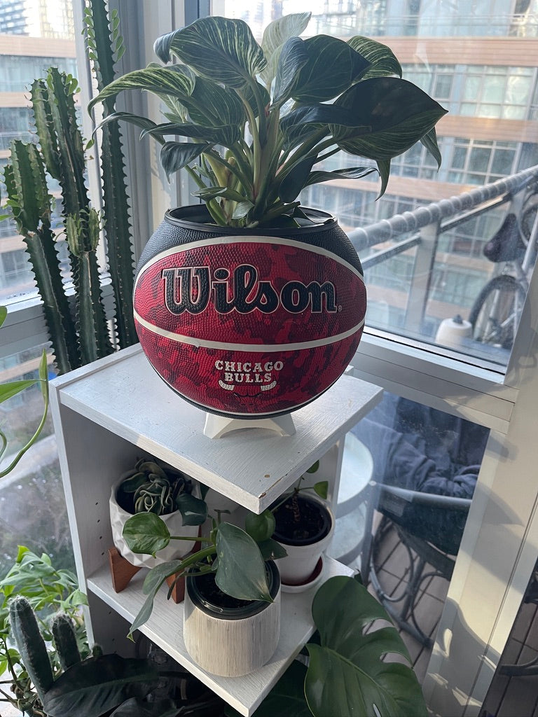 Large Basketball Planter (Chicago Bulls - Tie Dye)