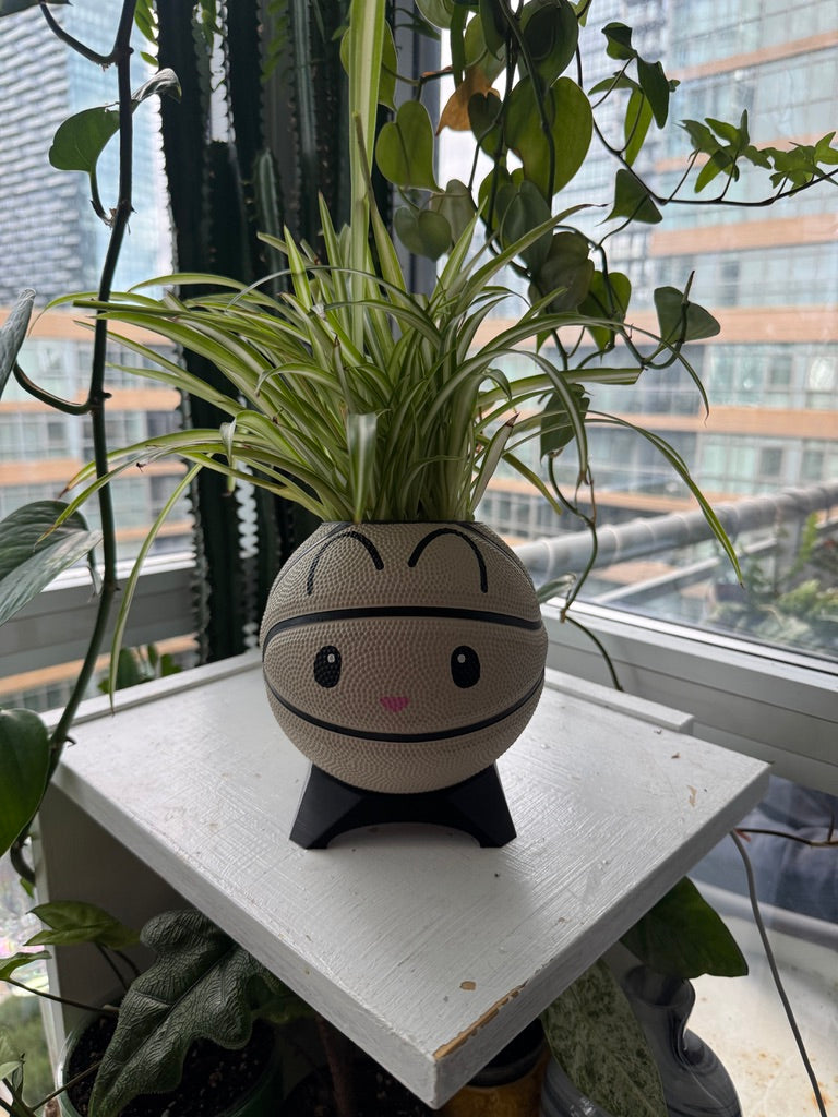 Ultra-Mini Basketball Planter (Bunny)