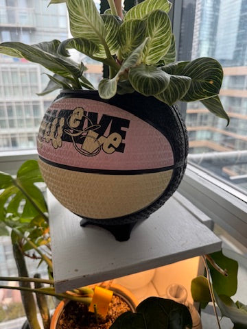 Nike Large Basketball Planter (Ja Morant Twelve Pink)