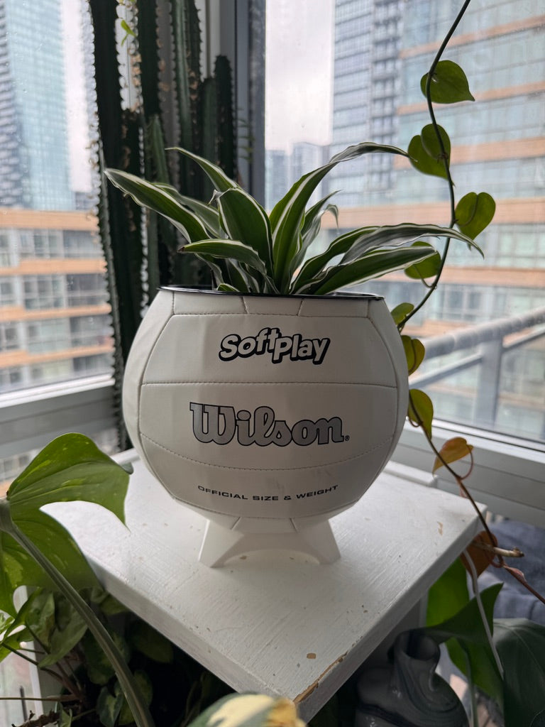 Large Volleyball Planter (Original)