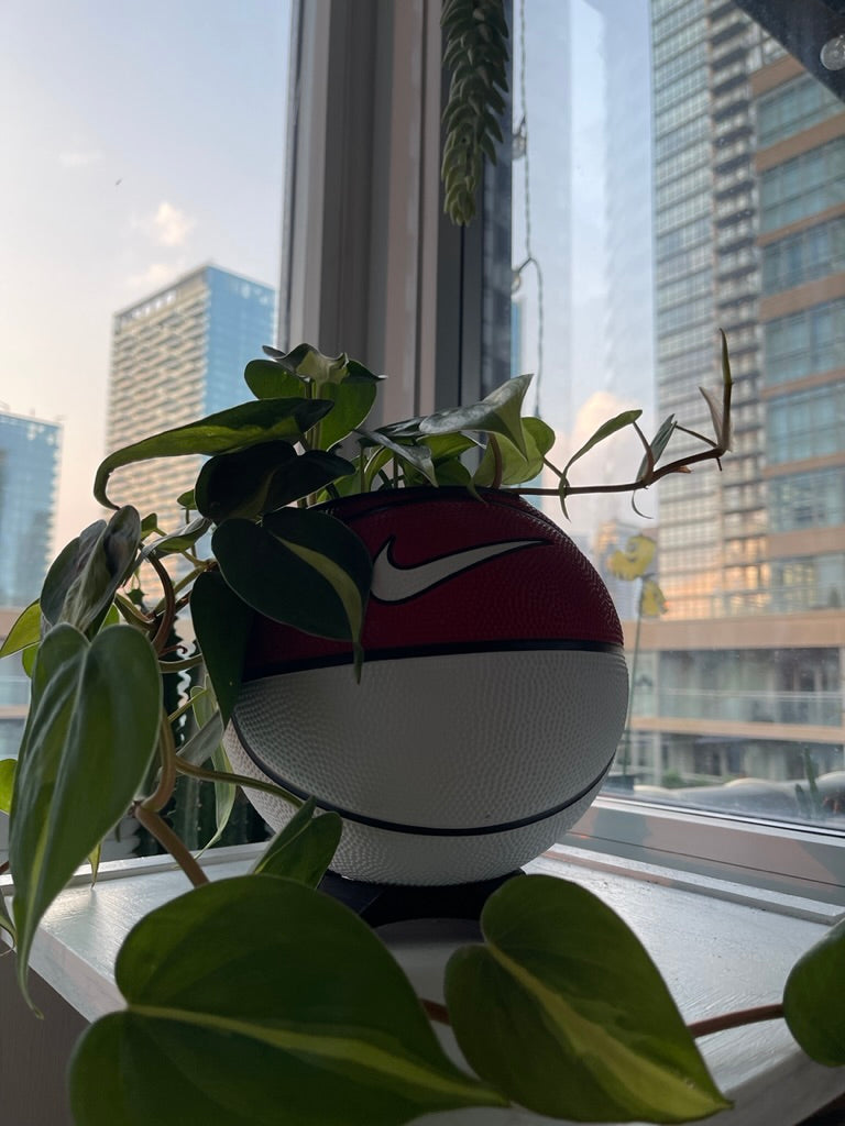 Nike Mini Basketball Planter (Red & White)