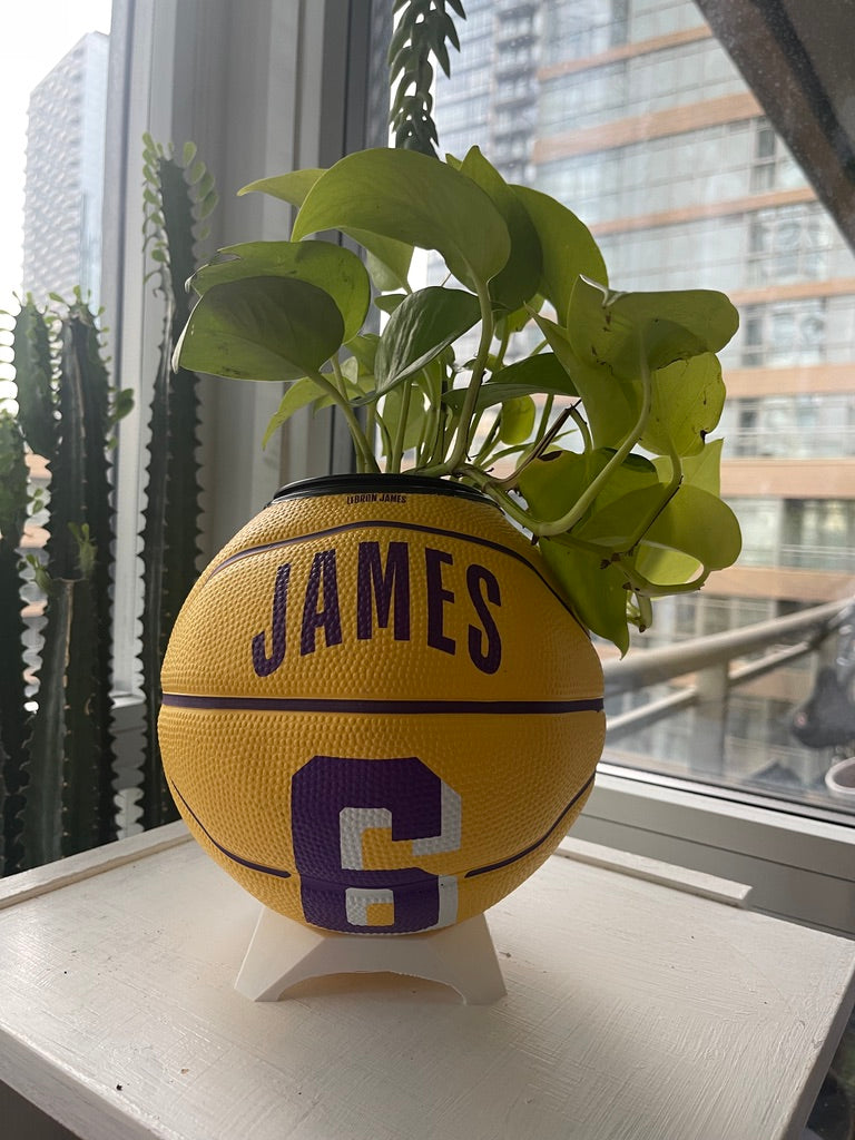 Mini Basketball Planter (Lebron James)