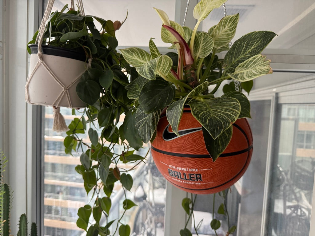 Nike Large Basketball Hanging Planter (Baller - Silver Chain)