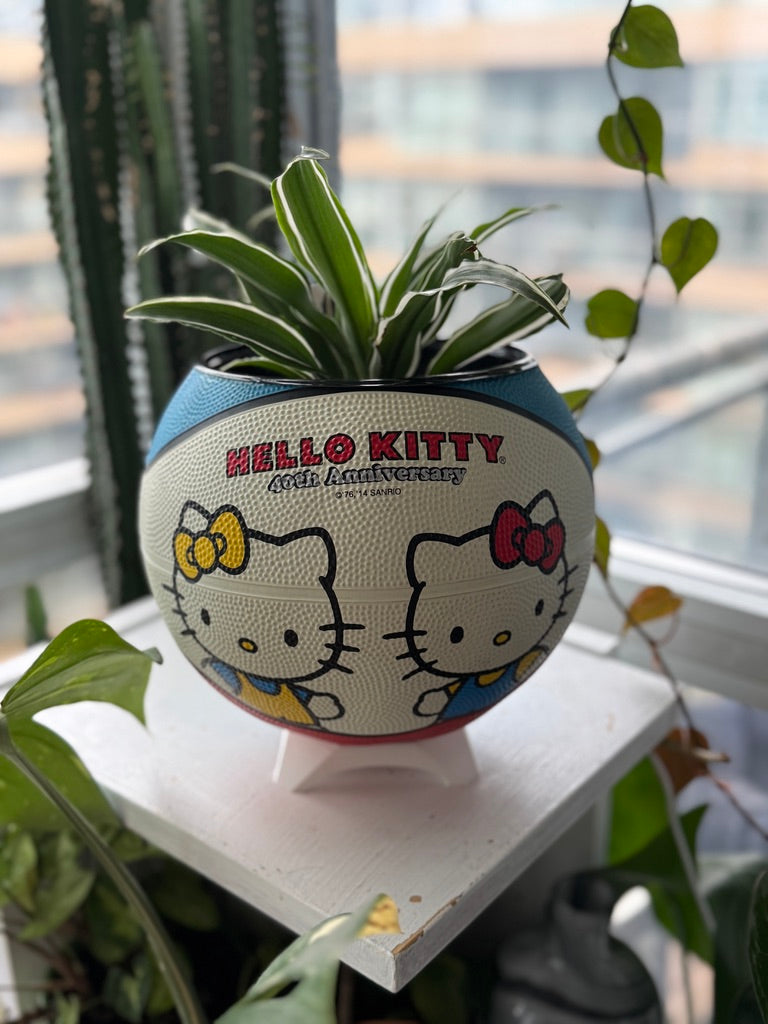 Large Basketball Planter (Hello Kitty)