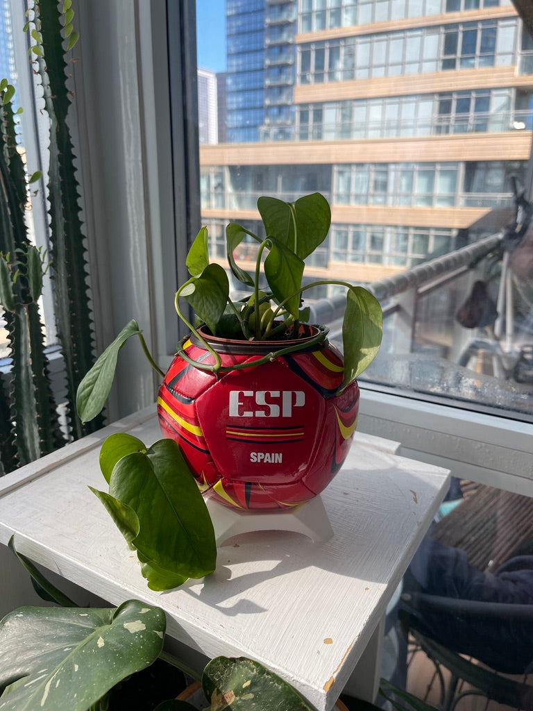 Mini Soccer Ball Planter (Spain)