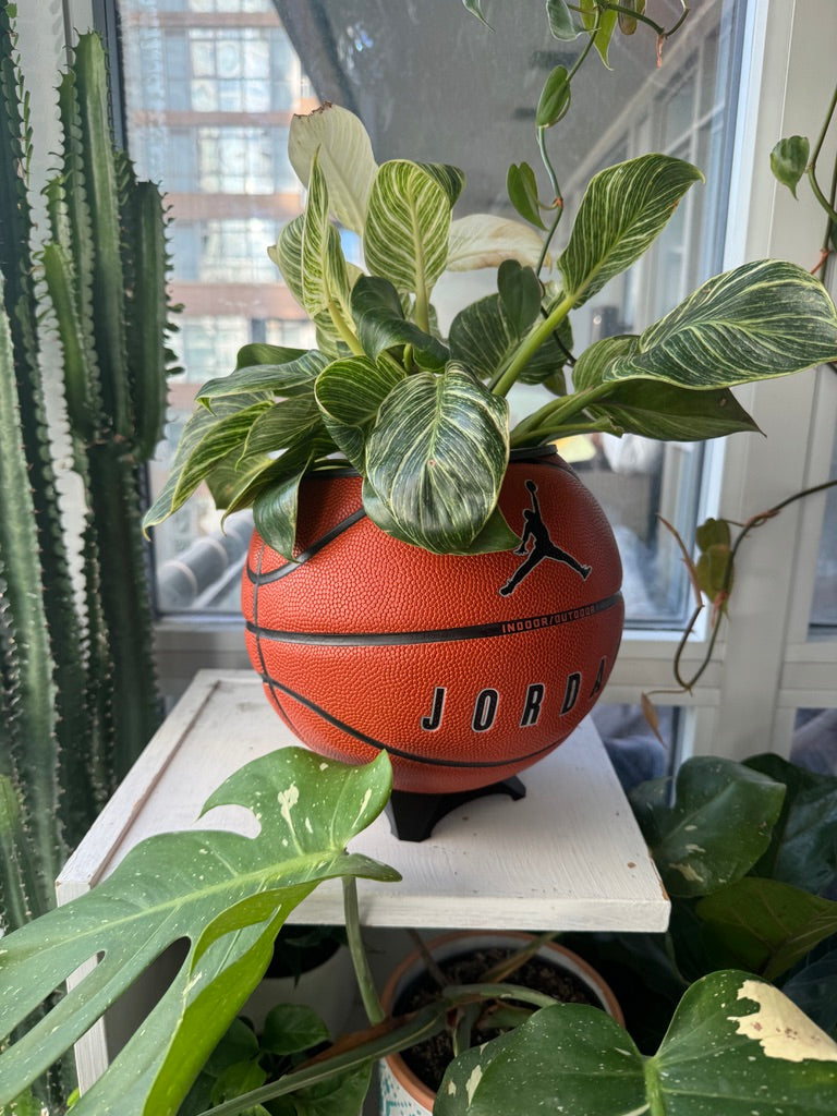 Nike Jordan Large Basketball Planter (Basic)