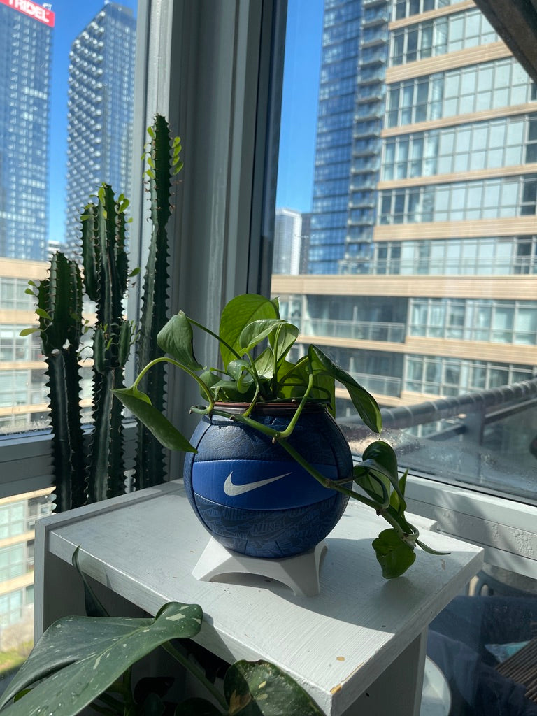 Nike Mini Volleyball Planter (Blueberry)