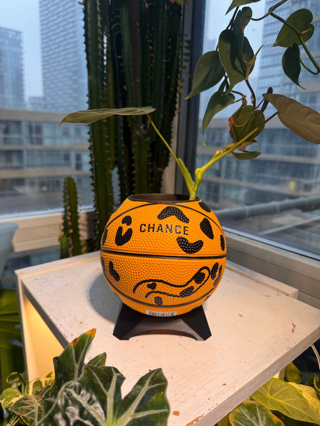 Ultra-Mini Basketball Planter (Cheetah)