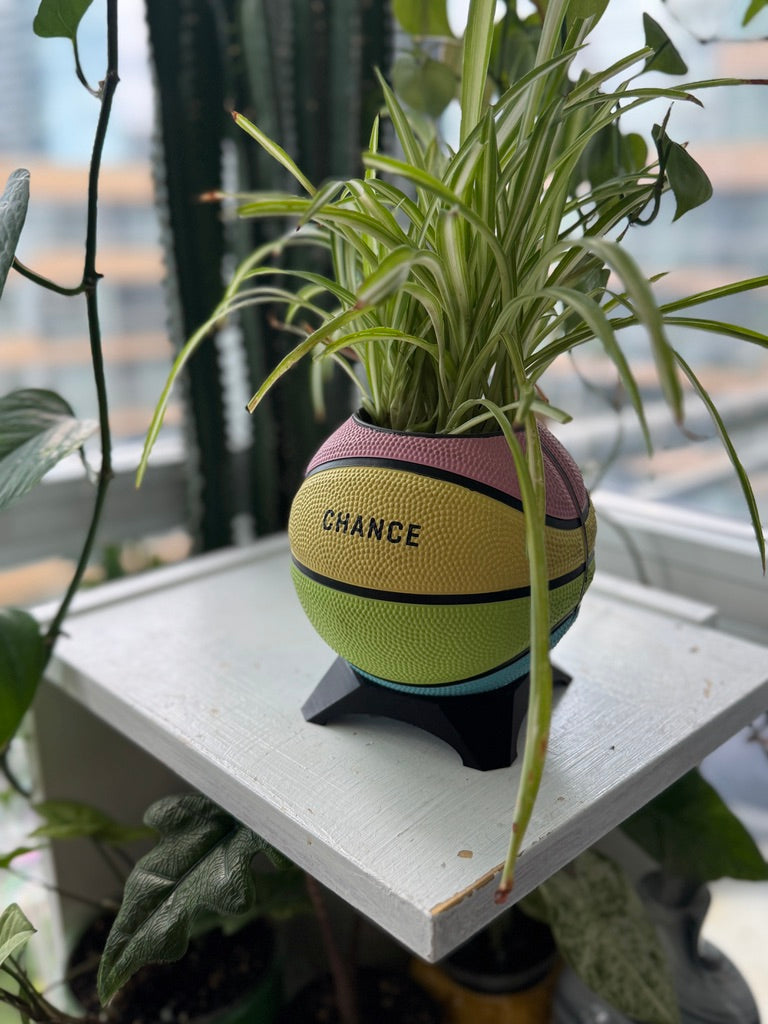 Ultra-Mini Basketball Planter (Sherbet Rainbow)