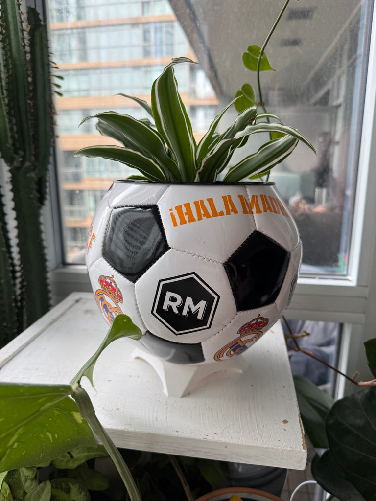 Large Soccer Ball Planter (Real Madrid CF)