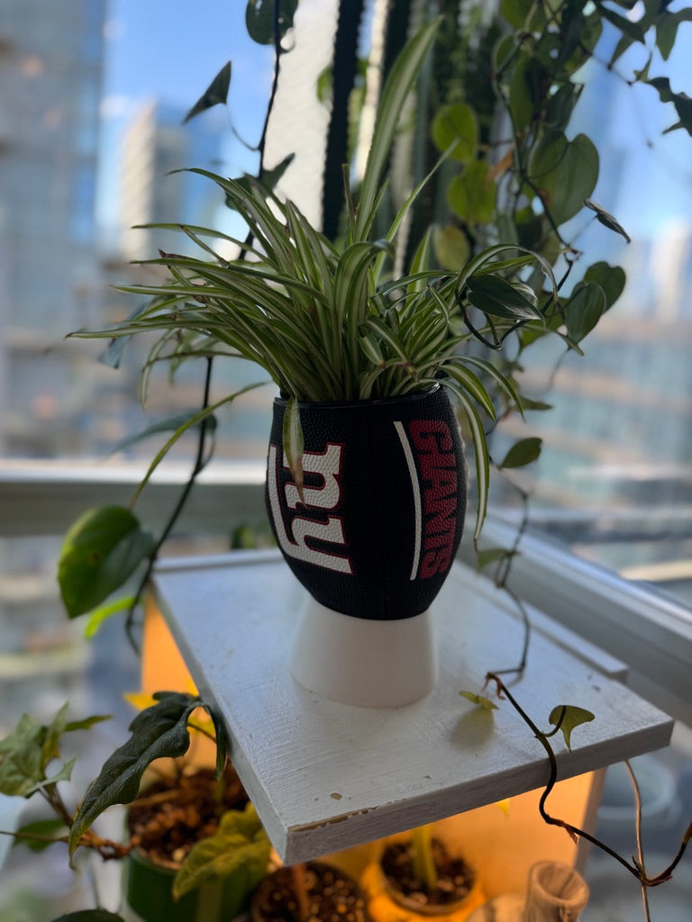 Mini Football Planter (New York Giants)