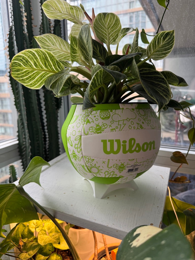 Large Volleyball Planter (Green Spring)