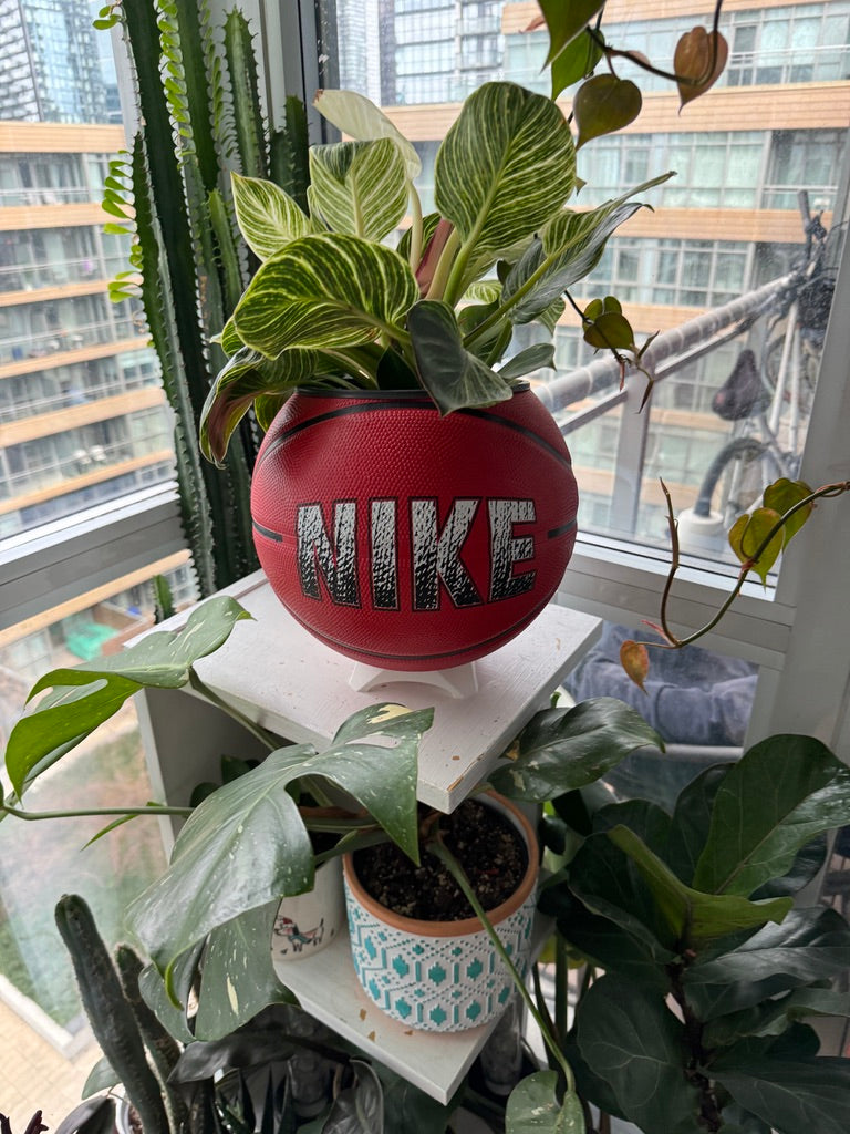 Nike Large Basketball Planter (Nike Red)