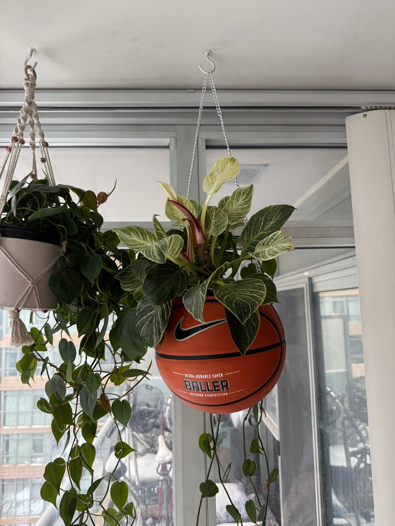 Nike Large Basketball Hanging Planter (Baller - Silver Chain)