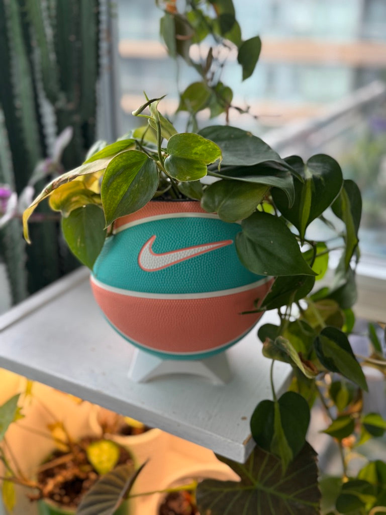 Nike Mini Basketball Planter (Malibu Beach)