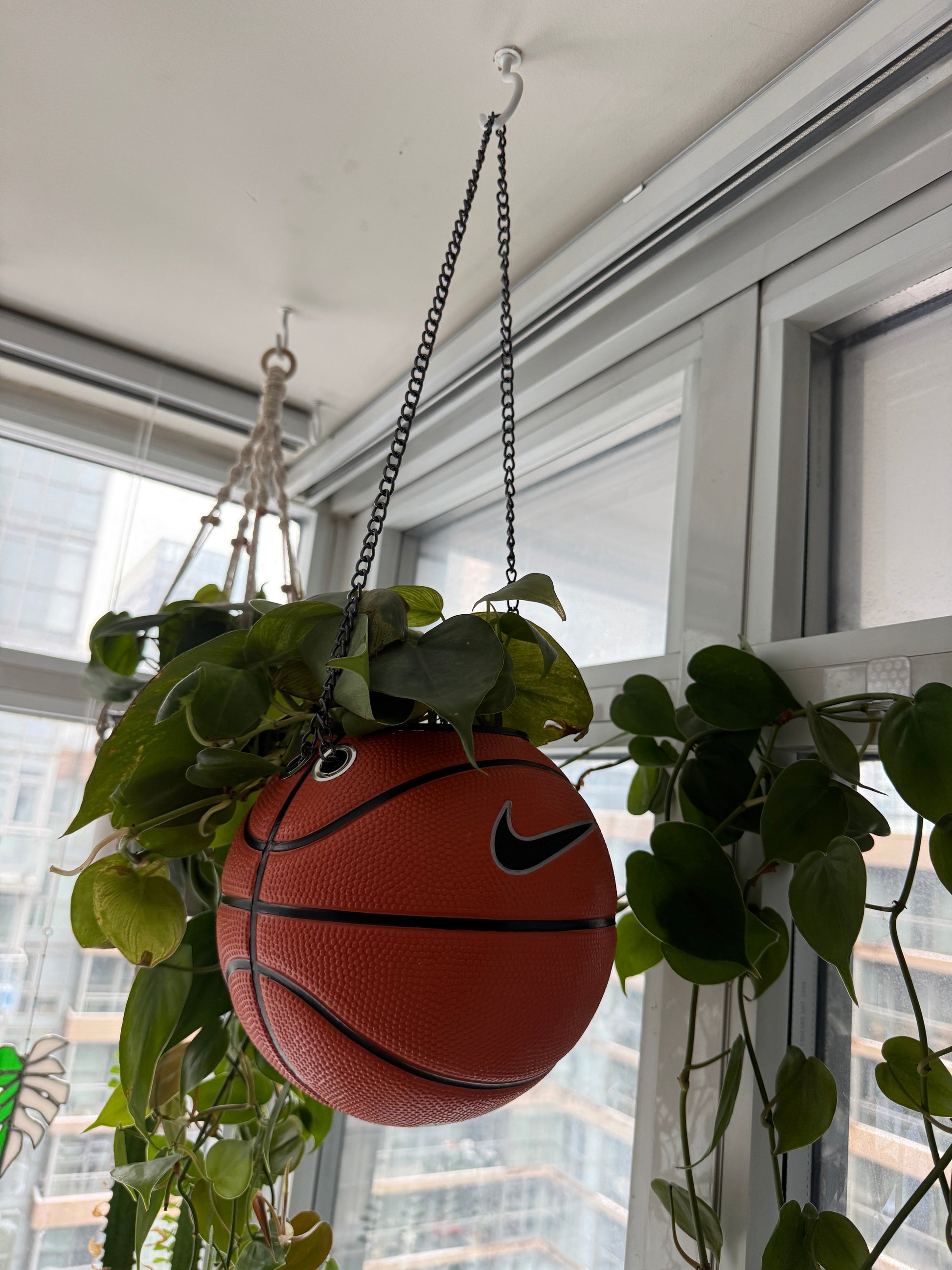 Nike Mini Basketball Hanging Planter (Black Chain OG)
