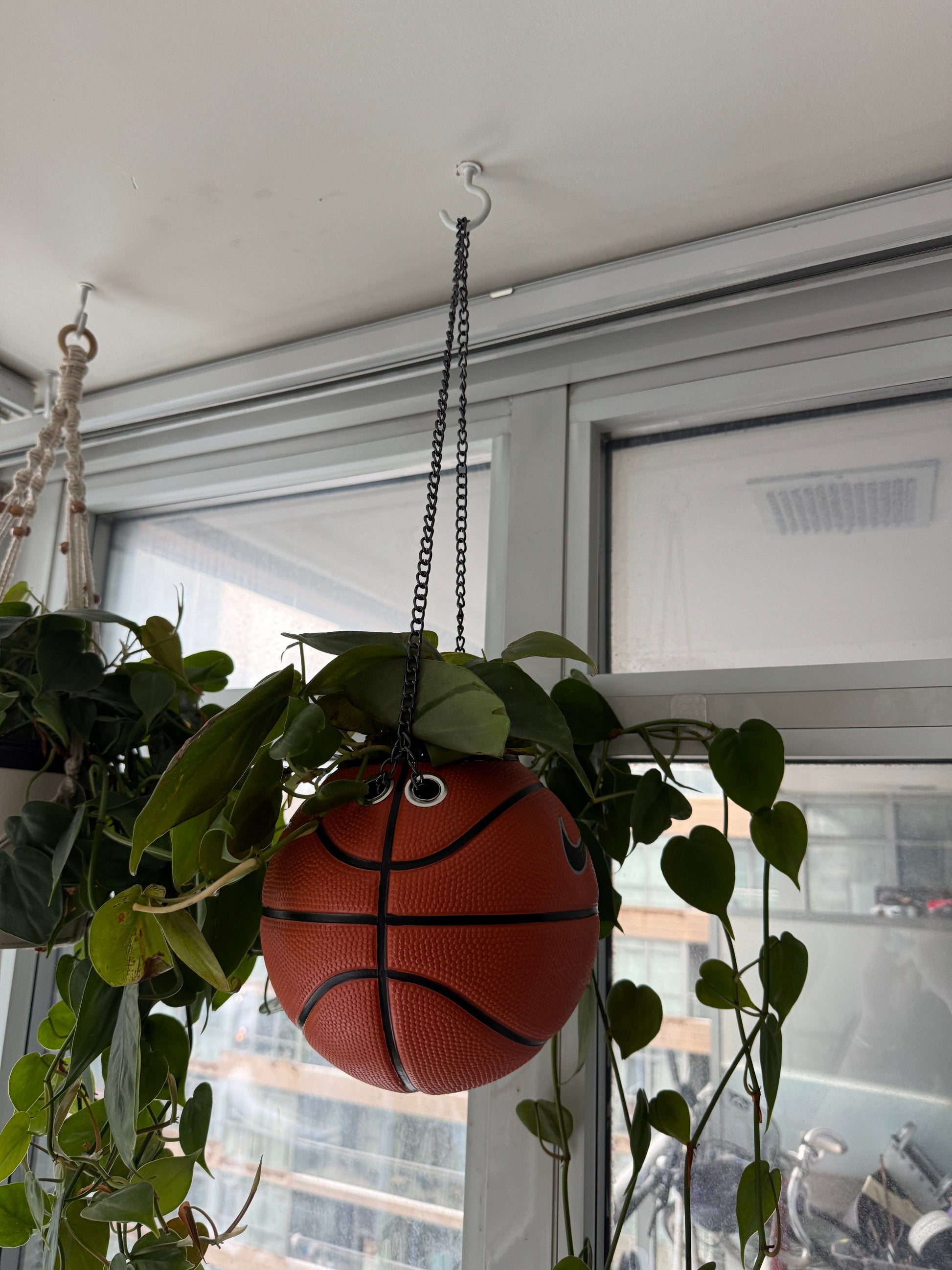 Nike Mini Basketball Hanging Planter (Black Chain OG)
