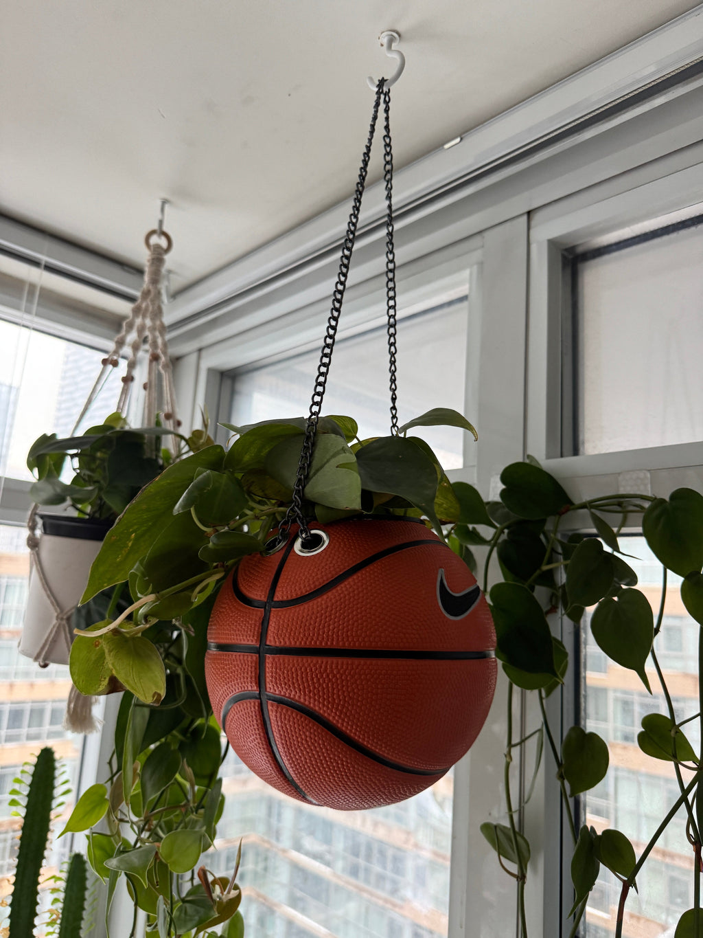 Nike Mini Basketball Hanging Planter (Black Chain OG)