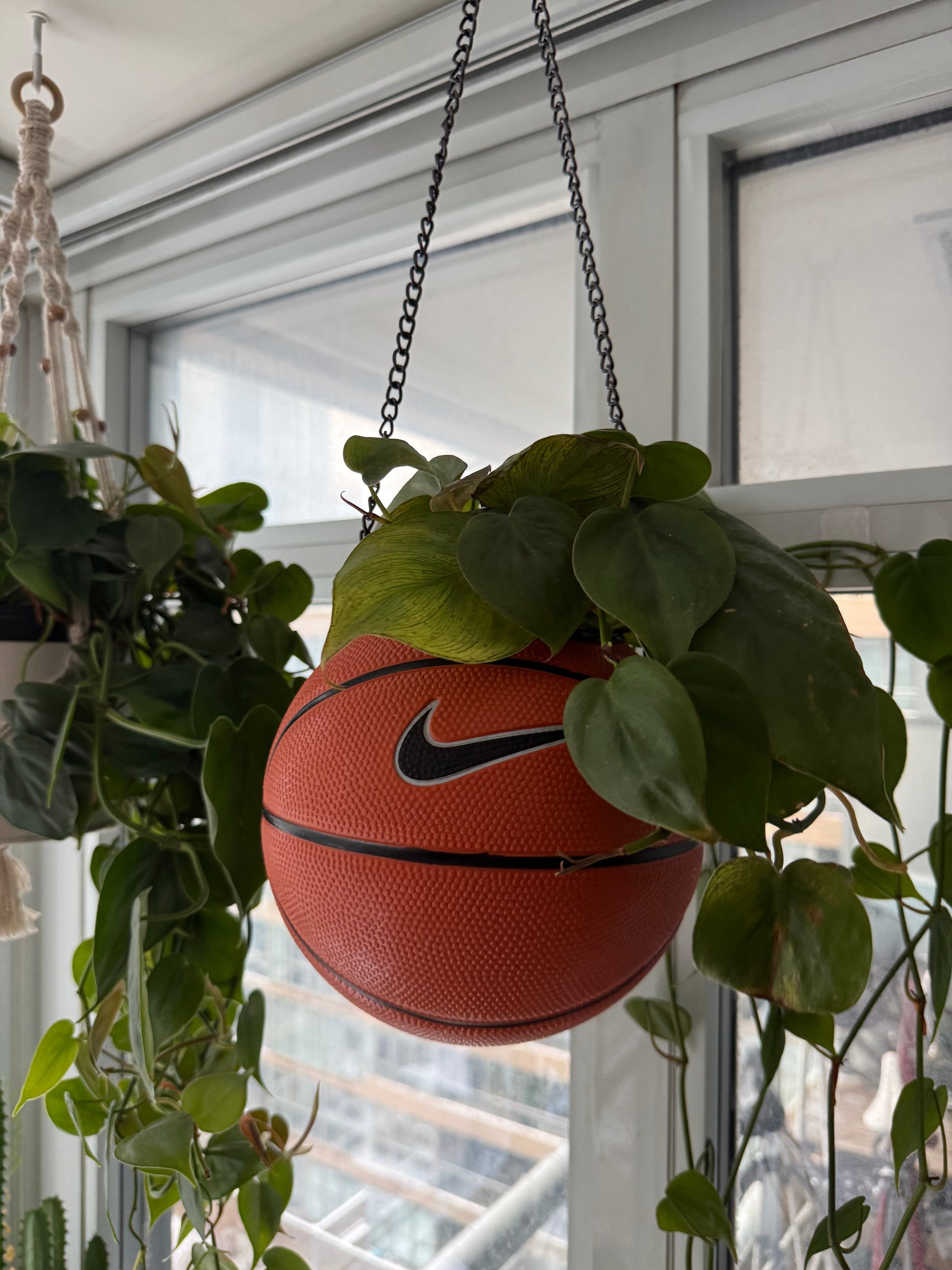 Nike Mini Basketball Hanging Planter (Black Chain OG)