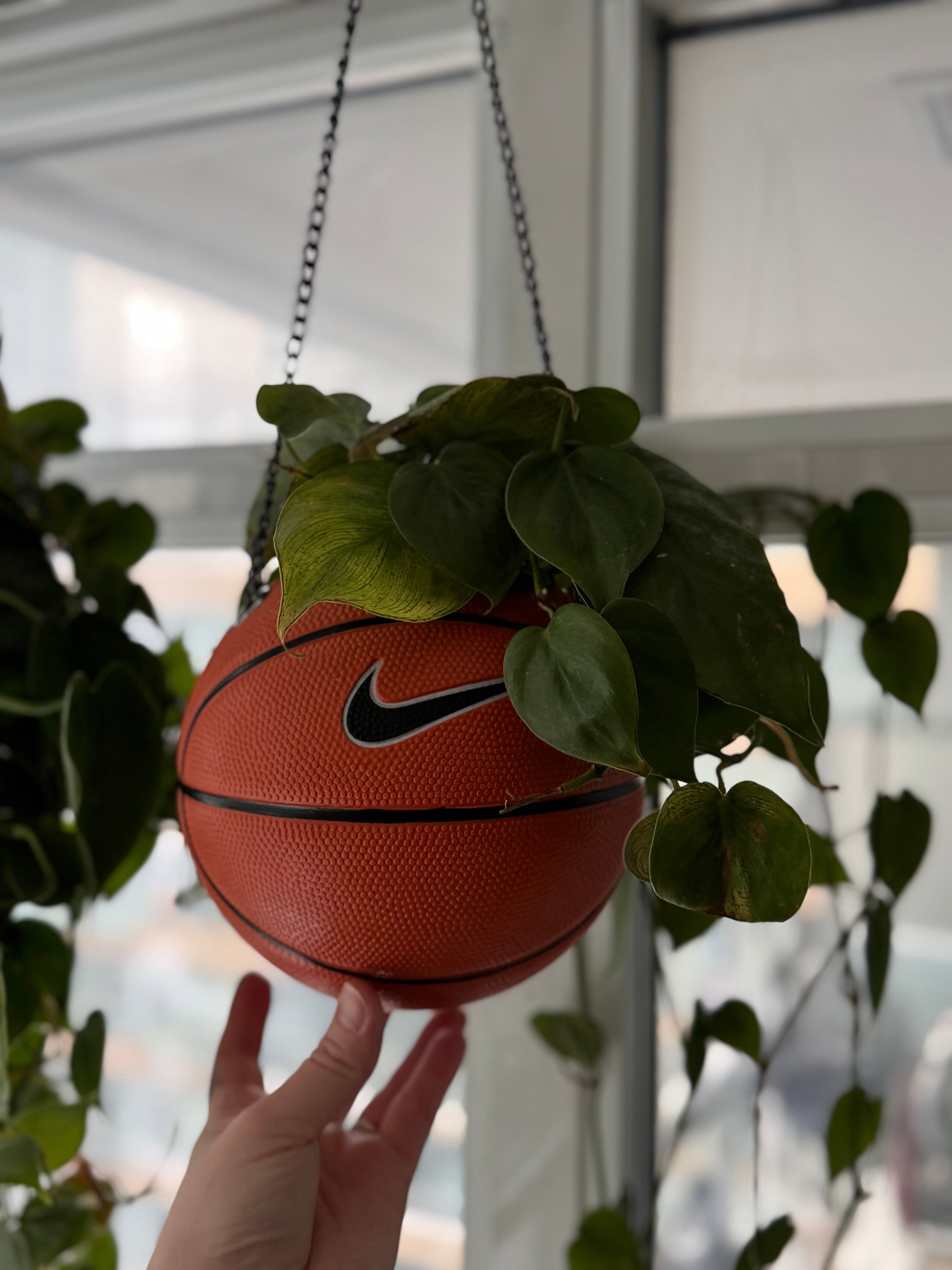 Nike Mini Basketball Hanging Planter (Black Chain OG)