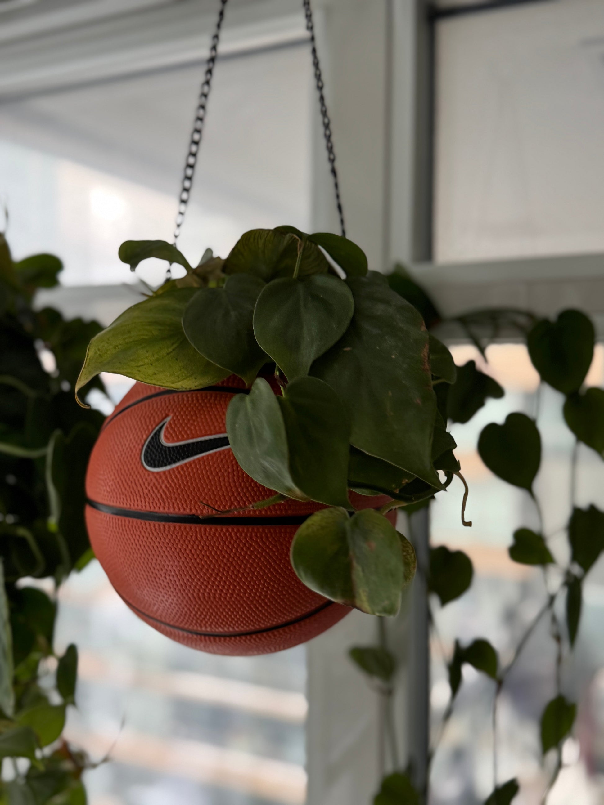 Nike Mini Basketball Hanging Planter (Black Chain OG)