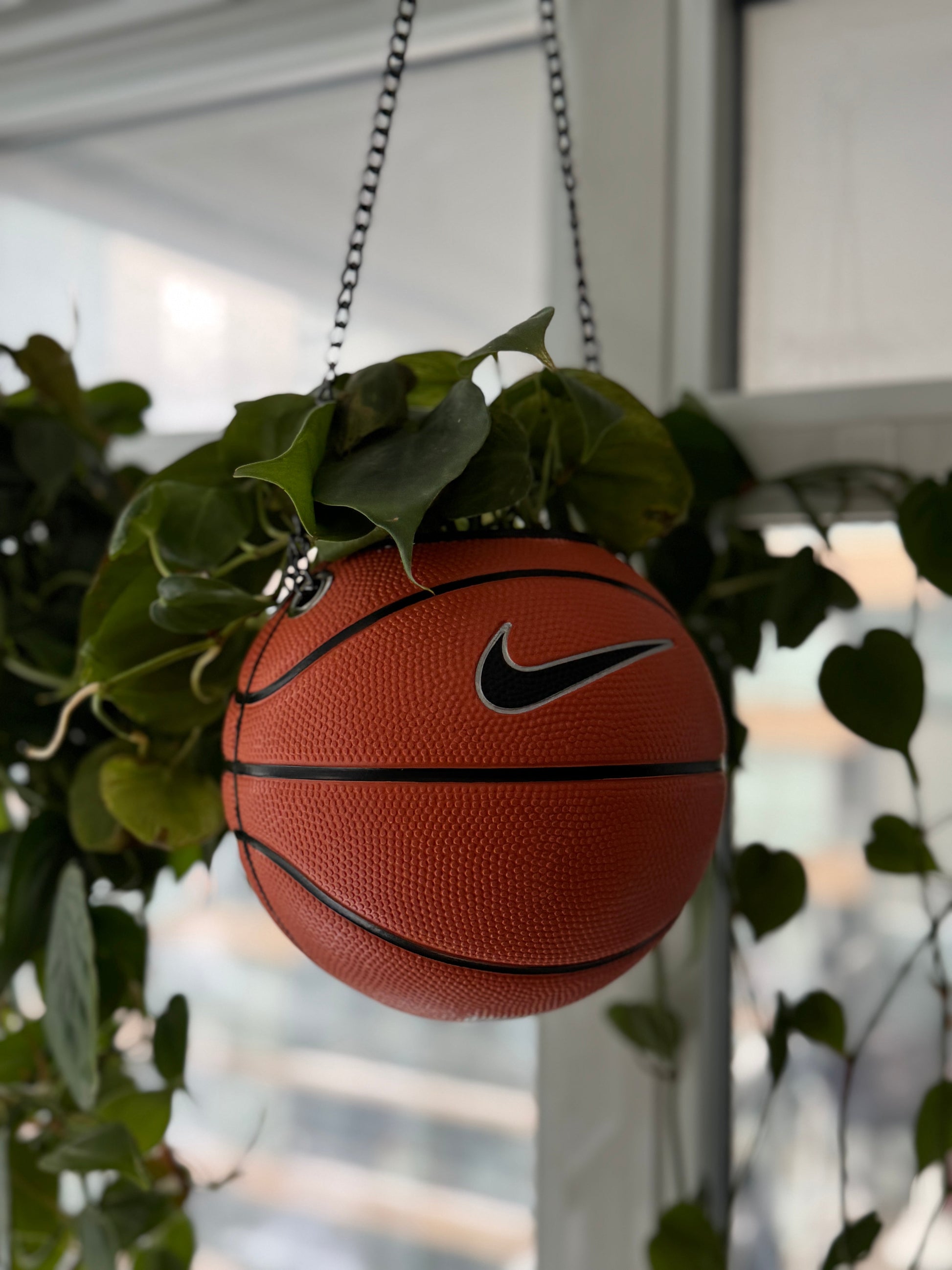 Nike Mini Basketball Hanging Planter (Black Chain OG)