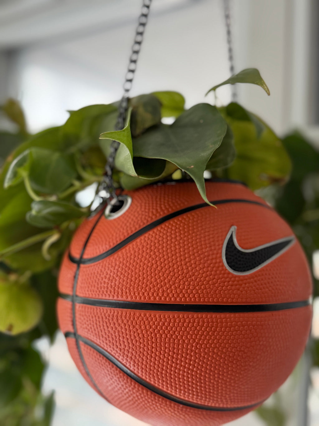 Nike Mini Basketball Hanging Planter (Black Chain OG)