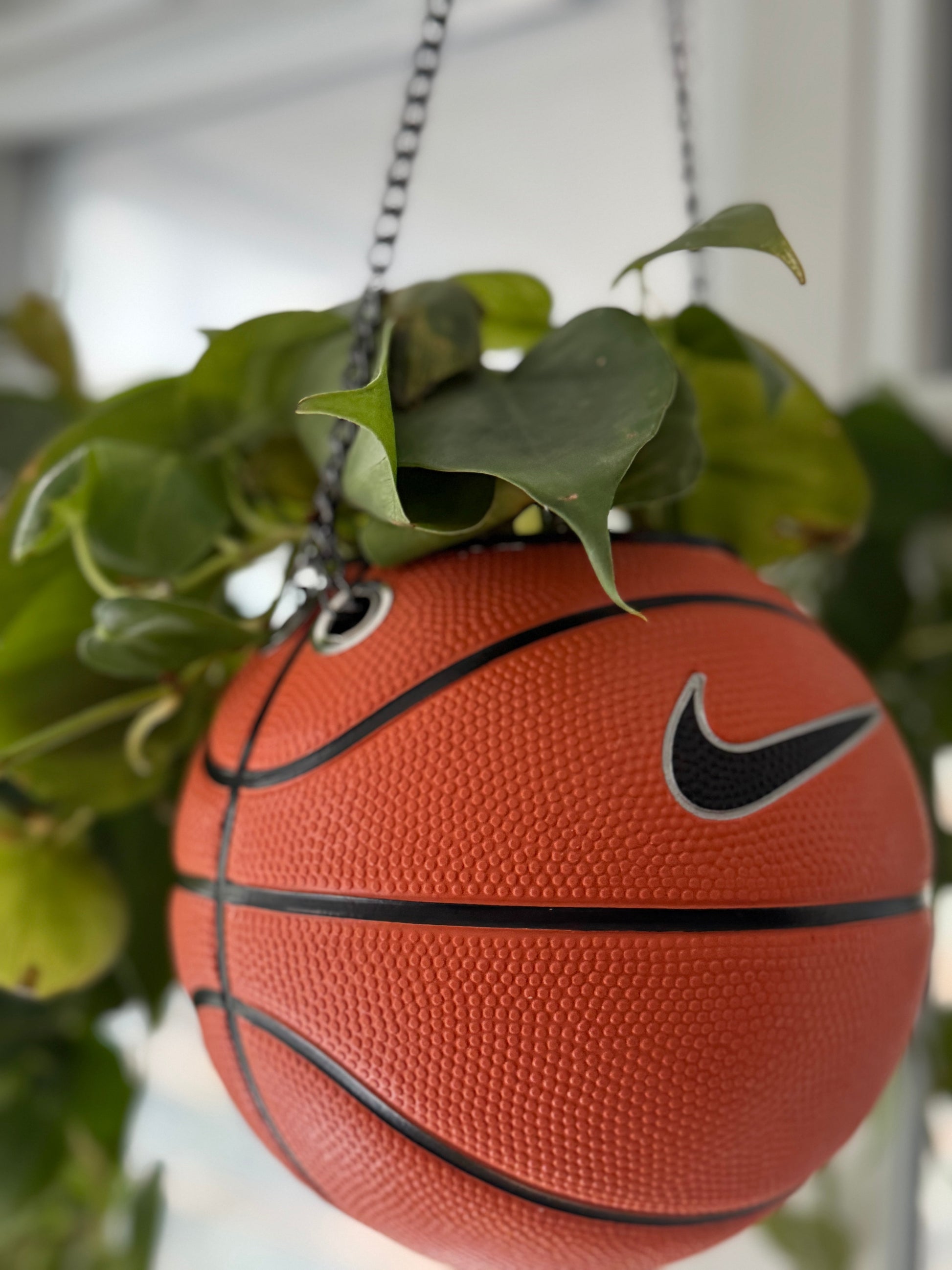 Nike Mini Basketball Hanging Planter (Black Chain OG)