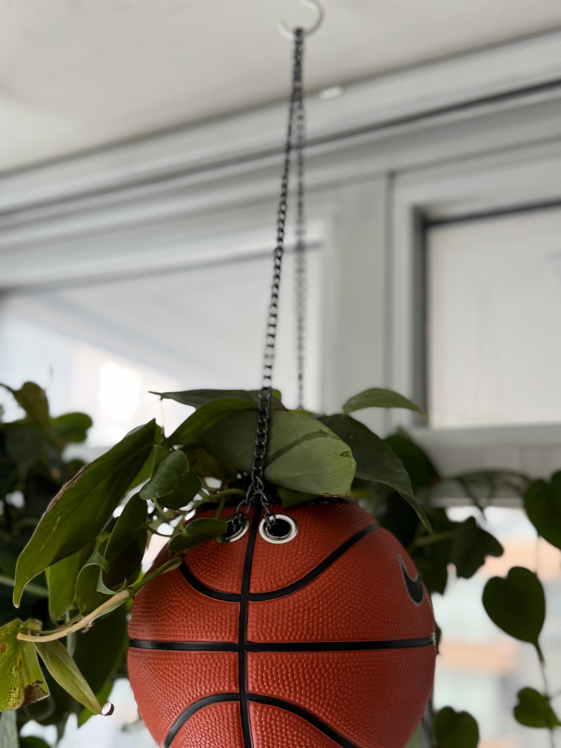 Nike Mini Basketball Hanging Planter (Black Chain OG)