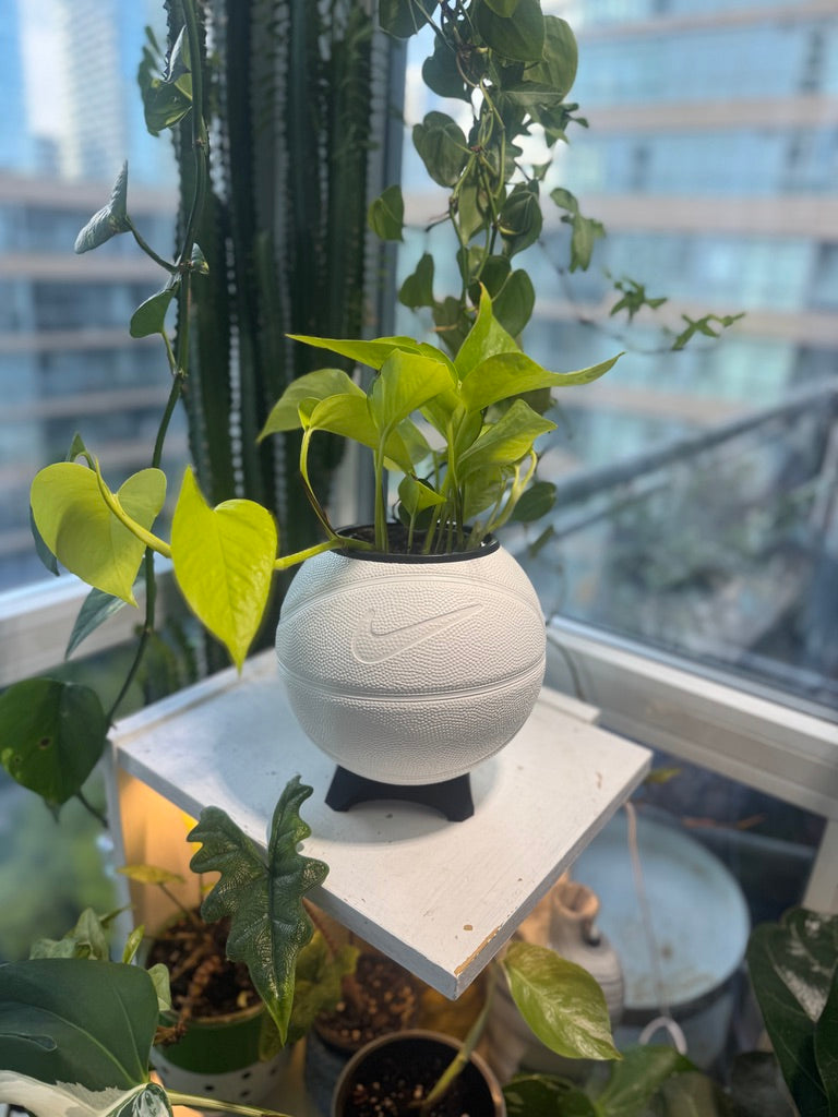 Nike Mini Basketball Planter (White)