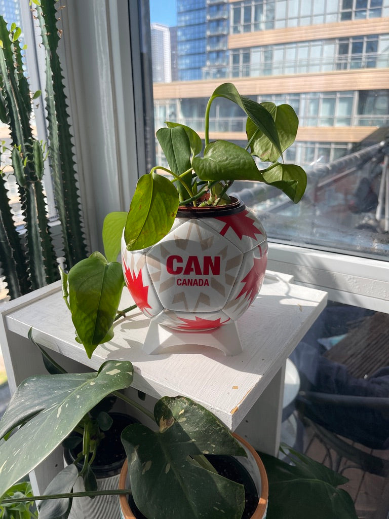 Mini Soccer Ball Planter (Canada)