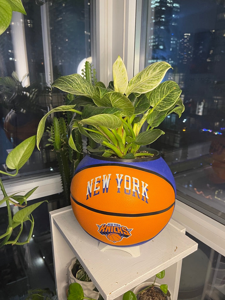 Large Basketball Planter (New York Knicks Modern)
