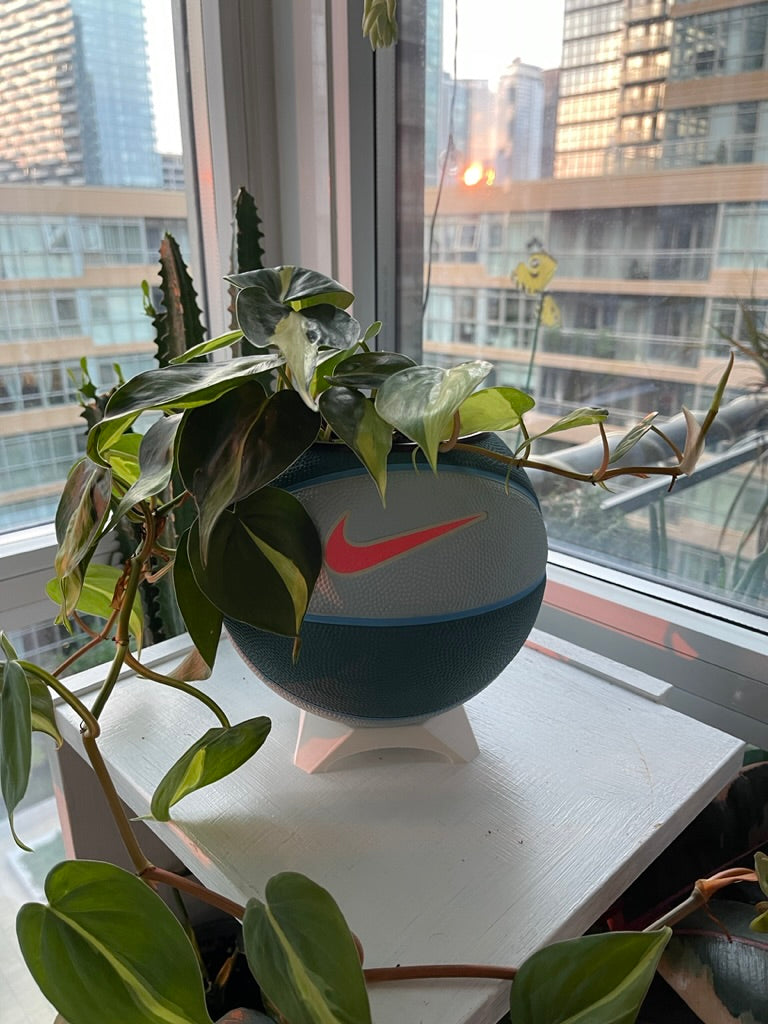 Nike Mini Basketball Planter (Hot Punch)